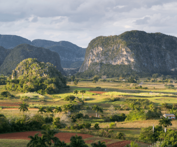 Spanish Beyond Borders: Cuba 2025 - Image 8